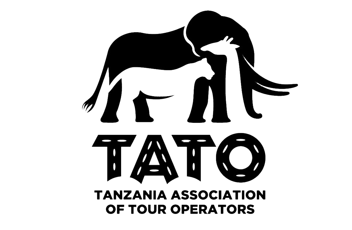 tato vector