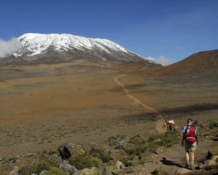 kilimanjaro climb cost
