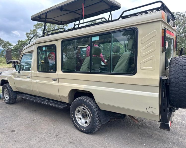 safari